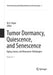 Tumor Dormancy, Quiescence, and Senescence, Volume 1: Aging, Cancer, and Noncancer Pathologies by M. A. Hayat