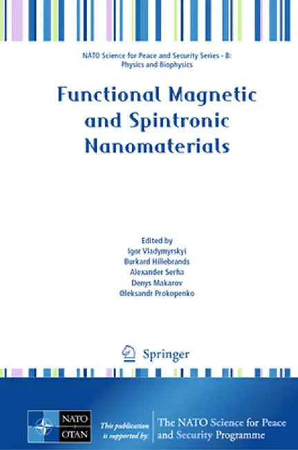 Functional Magnetic and Spintronic Nanomaterials by Igor Vladymyrskyi