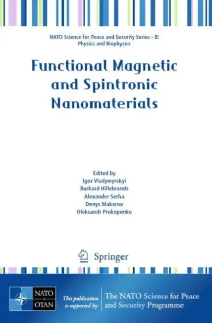 Functional Magnetic and Spintronic Nanomaterials by Igor Vladymyrskyi