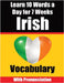 Irish Vocabulary Builder: Learn 10 Irish Words a Day for 7 Weeks The Daily Irish Challenge: Learn 10 Irish Words a Day for 7 Weeks The Daily Irish Cha by de Haan, Auke