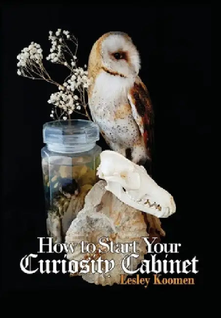 How to Start Your Curiosity Cabinet by Lesley Koomen