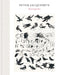 Peter Jacquemyn: Drawing First by Peter Jacquemyn