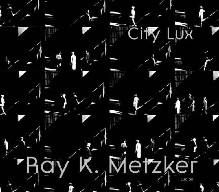 Ray K. Metzker: City Lux by Philippe Séclier, Françoise Morin, Carrie Springer