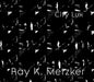 Ray K. Metzker: City Lux by Philippe Séclier, Françoise Morin, Carrie Springer
