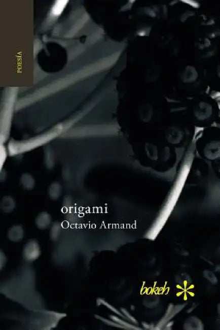 origami by Octavio Armand