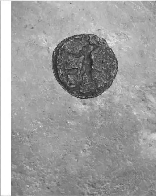 Heads and Tails, Tales and Bodies: Engraving the Human Figure from Antiquity to the Early Modern Period by Chris Carey, Marina Loshak, Olivier Descotes