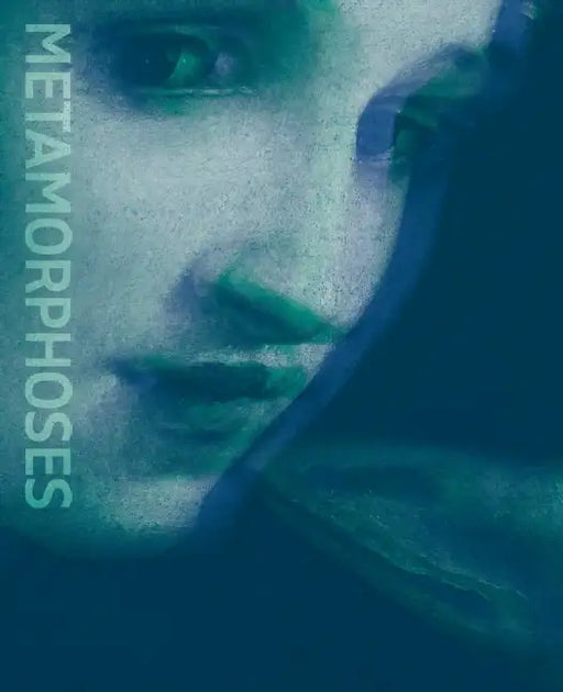 Metamorphoses: Ovid and the Arts by Frits Scholten, Francesca Cappelletti