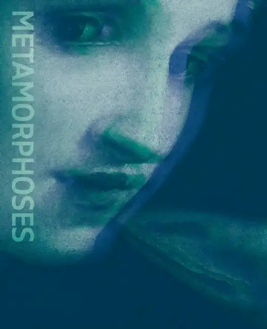 Metamorphoses: Ovid and the Arts by Frits Scholten, Francesca Cappelletti