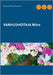 VANHUSHOITAJA Nitro by Ruuskanen, Mauno