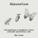 Metamorfoosi: Neuropsykologiaa ja kognitiivisen terapian periaatteita ajatuskarttojen avulla by Elina Alenius
