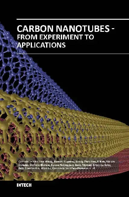 Carbon Nanotubes From Experiment To Applications by Wang Y.