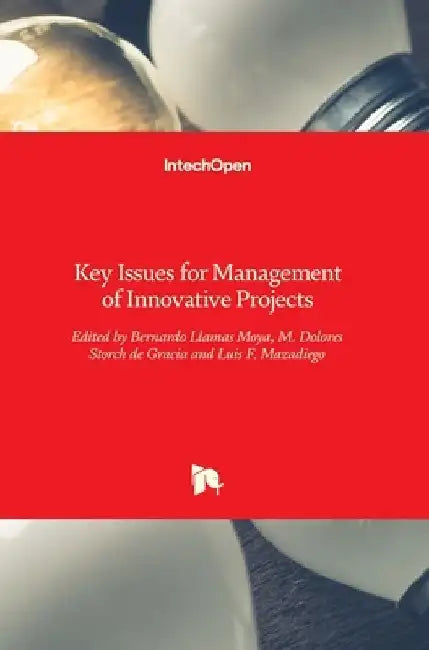 Key Issues for Management of Innovative Projects by Bernardo Llamas