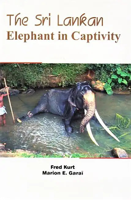 The Sri Lankan Elephant In Captivity by Kurt