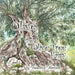 Olive the olive Tree Fairy by Francesca Harrison