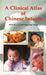 A Clinical Atlas of Chinese Infants by Anita M. C. Li