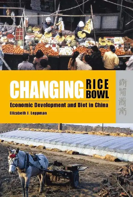 Changing Rice Bowl - Economic Developmen by Elizabeth J. Leppman