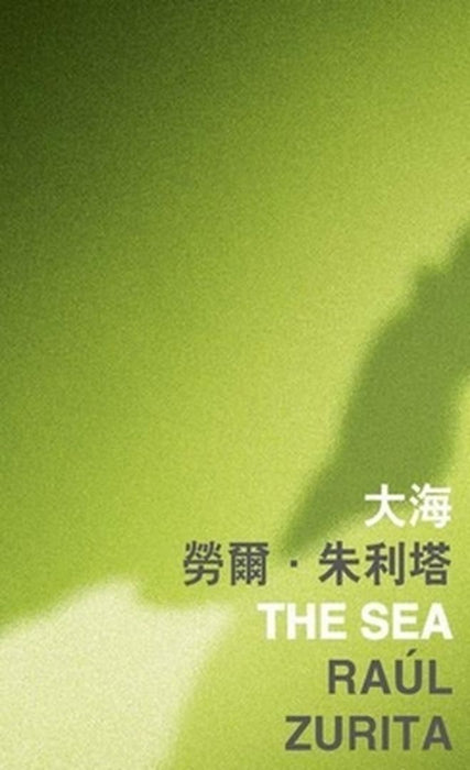 The Sea by Raúl Zurita