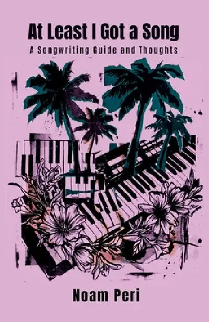 At Least I Got a Song: A Songwriting Guide And Thoughts by Noam Peri