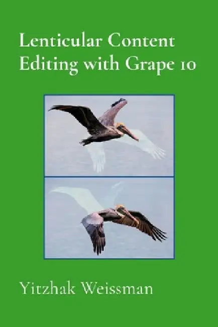 Lenticular Content Editing with Grape 10 by Yitzhak Weissman