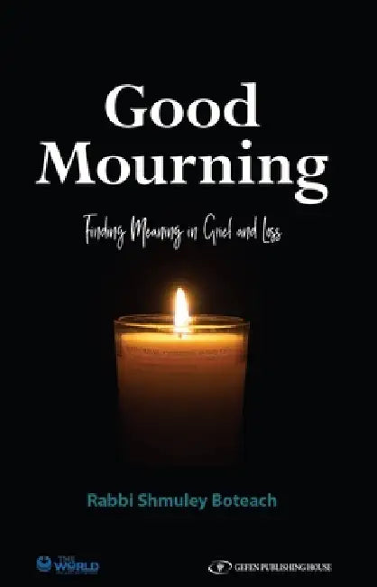 Good Mourning: Finding Meaning in Grief and Loss by Shmuley Boteach