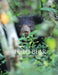 Sloth Bear: The Barefoot Bear of Sri Lanka by Shyamala Ratnayeke