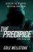 The Precipice by Cole Wellstone