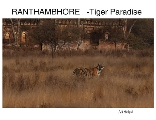 Ranthambhore: Tiger Paradise by Ajit Huilgol