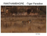 Ranthambhore: Tiger Paradise by Ajit Huilgol