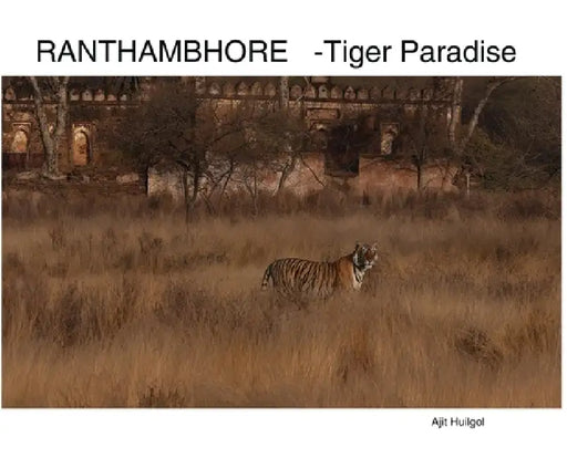 Ranthambhore: Tiger Paradise by Ajit Huilgol