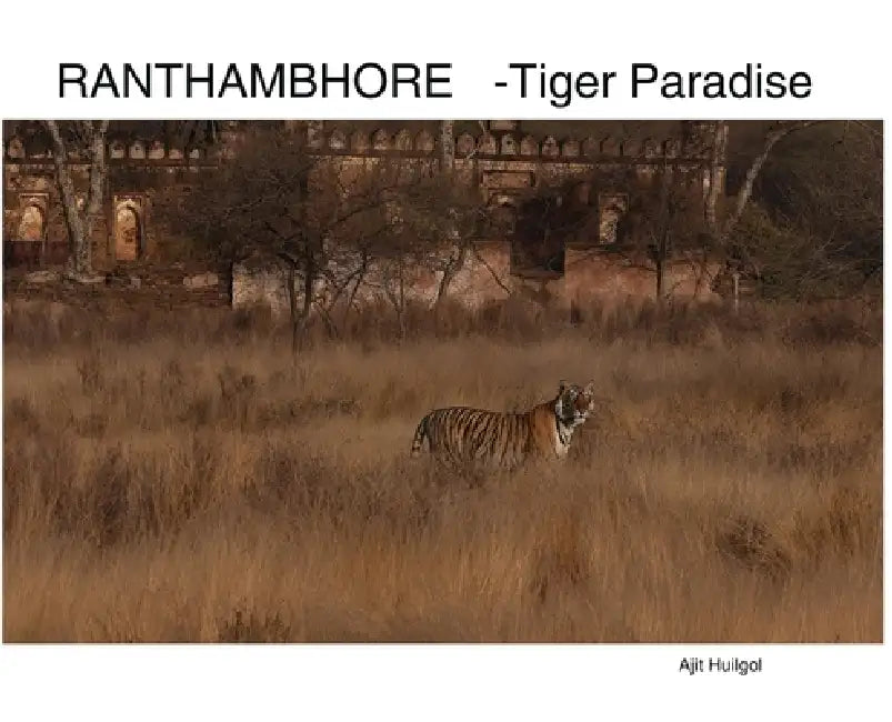 Ranthambhore: Tiger Paradise by Ajit Huilgol
