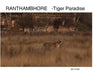 Ranthambhore: Tiger Paradise by Ajit Huilgol