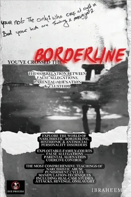 You've Crossed The Borderline by Ibraheem