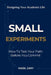 Small Experiments: How to Test Your Path Before You Commit by Nabil Zary