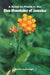 A Guide to the Plants of the Blue Mountains of Jamaica by Susan Iremonger