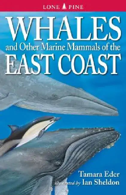 Whales and Other Marine Mammals of the East Coast by Tamara Eder