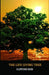 The Life Giving Tree by Clifford Reid