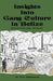 Insights Into Gang Culture in Belize: Essays on Youth, Crime, and Violence by Nuri Muhammad