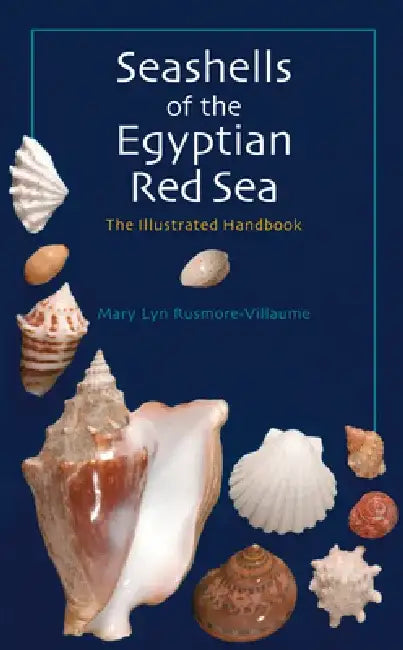 Seashells of the Egyptian Red Sea: The Illustrated Handbook by Mary Lyn Rusmore-Villaume