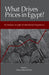What Drives Prices in Egypt?: An Analysis in Light of International Experience by Hanaa Kheir-El-Din