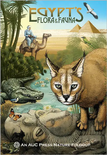 Egypt's Flora and Fauna: An Auc Press Nature Foldout by Navarro, Dominique