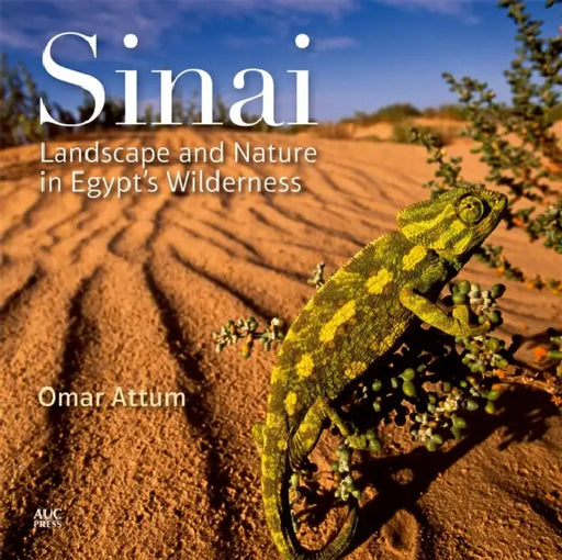 Sinai: Landscape and Nature in Egyptas Wilderness by Omar Attum