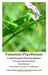 Tanaman Pepohonan Untuk Mengusir Dan Menghalau Serangan Hama Belalang (Grasshopper) Dari Lahan Pertanian Versi Bilingual Hardcover Version by Jannah Firdaus Mediapro