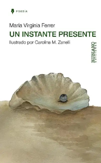 Un Instante Presente by Carolina M. Zanelli, Elisabel Rubiano, Carmen Maura Peralta