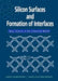 Silicon Surfaces and Formation of Interfaces: Basic Science in the Industrial World by Jarek Dabrowski, Hans-Joachim Mussig