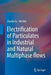 Electrification of Particulates in Industrial and Natural Multiphase Flows by Zhaolin Gu
