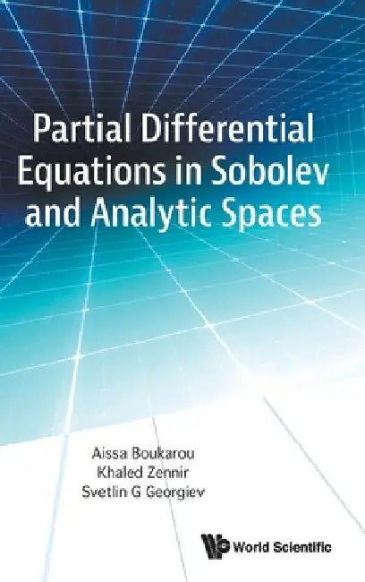 Partial Differential Equations in Sobolev and Analytic Spaces by Aissa Boukarou