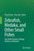 Zebrafish, Medaka, and Other Small Fishes: New Model Animals in Biology, Medicine, and Beyond by Hiromi Hirata