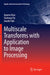 Multiscale Transforms with Application to Image Processing by Aparna Vyas