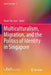Multiculturalism, Migration, and the Politics of Identity in Singapore by Kwen Fee Lian