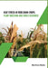 Heat Stress In Food Grain Crops - Plant breeding and omics research by Harsh Nayyar